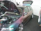 05100010.jpg (39kb)